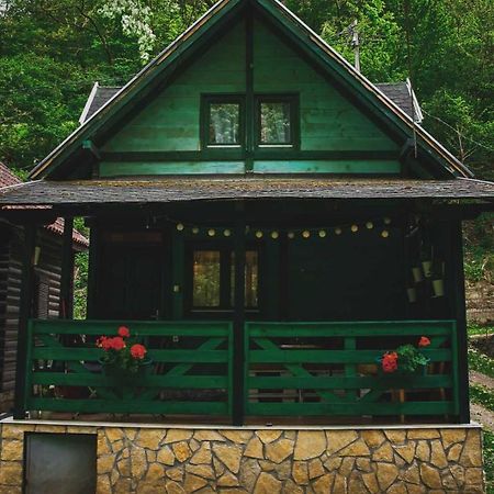 Vikendica,, Tadic,, Ovcar Banja Villa Ngoại thất bức ảnh