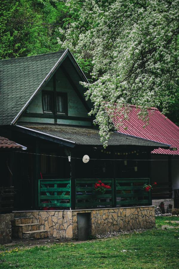 Vikendica,, Tadic,, Ovcar Banja Villa Ngoại thất bức ảnh